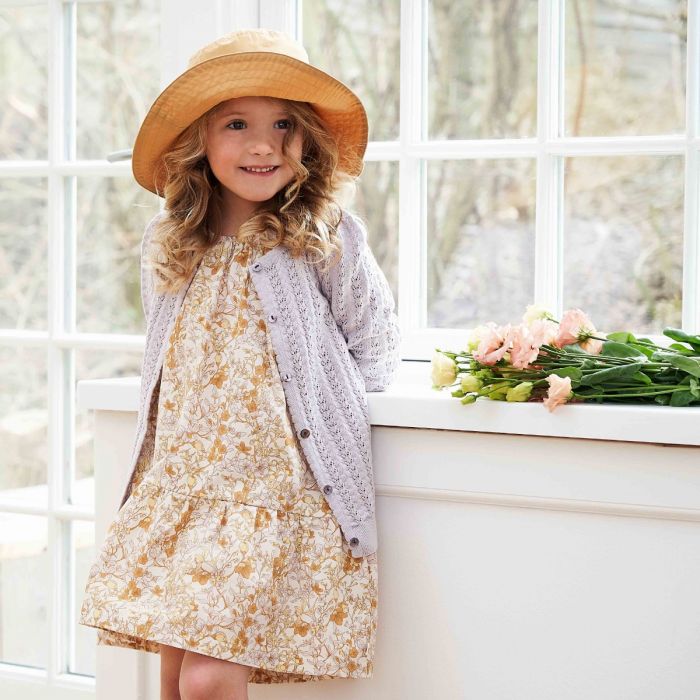 Fiona poplin dress